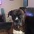 Brad Letterle's profile image