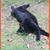Emily Hadley's profile image