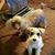 Djuna Miller's profile image