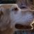 Kimberly Floersch-Sikorski's profile image
