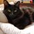 Dawn Grates's profile image