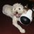Kelly Paglio's profile image