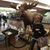Amanda Carroll Depew's profile image