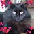Nancy Kuriger Yates's profile image