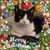 Jill Brown's profile image