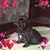 Karleen Mcnamara's profile image