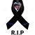 LuciaEmilio Bravo's profile image