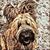 Karen McKernan's profile image