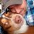Robb Luther's profile image