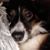 Sherry Riley's profile image