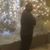 Nicholas Andre Mcquirter's profile image