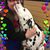 Megan Owens's profile image