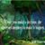 Lisa L Lipsey's profile image