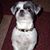 Sharon Kay Krebbs's profile image