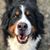 Anneke van Schaick's profile image