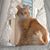 Nancy Rebar's profile image