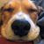 Gina Plowman Davis's profile image
