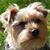 Catherine Meley's profile image