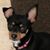 Annette Egli's profile image