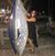 Jeanne Hedrick's profile image