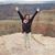 Joyce Rohrbaugh's profile image