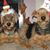 JimKaren Eichelberger's profile image