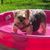 Jami Henke Silva's profile image