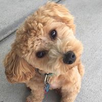 Debbie Wolgast's profile image