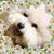 Terry Makuh's profile image