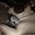 Lisa Cannata's profile image