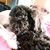 Pam Stafford Jones's profile image