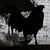 Victor Galan Roa's profile image