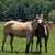 Terri Jackson's profile image