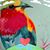 Wendy Colt Kleine's profile image