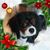Jennifer Pritchett's profile image