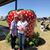 Donna Higginbotham's profile image