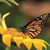 Kathy Davidoff's profile image