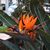 Carey Beth Hockett's profile image