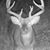 John Wilkins's profile image