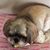 Vicki Hegeman Etzler's profile image
