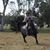 Kelly Beitzel's profile image