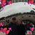 Alona Hanjiev's profile image
