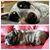 Tonya Edmonson Brumley's profile image