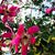 Jocelyne Knapp Miller's profile image