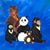 Rachel Castleberry Scott's profile image
