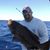 Paul C. Godbout's profile image