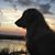 Nina Peeples's profile image