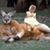 Cindy Tackett's profile image
