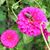 Gerrie Mollohan's profile image