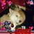 Rosemary Melzen Bagot's profile image